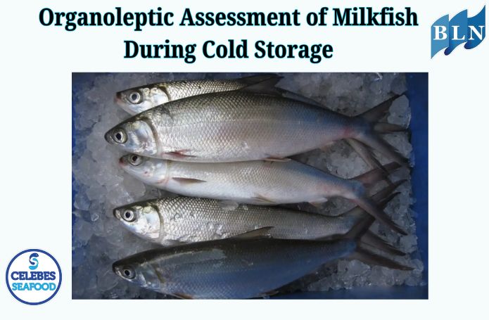 Organoleptic Assessment of Milkfish During Cold Storage